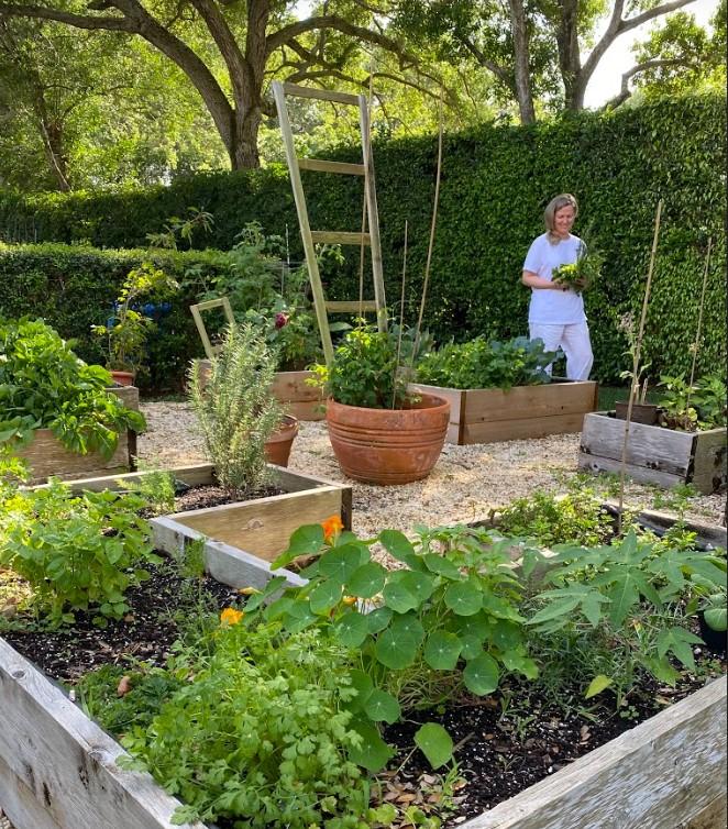 According to Tammy Fender, planting just a few seeds has immense benefits in connecting the gardener back to the earth. (Courtesy of Tammy Fender)