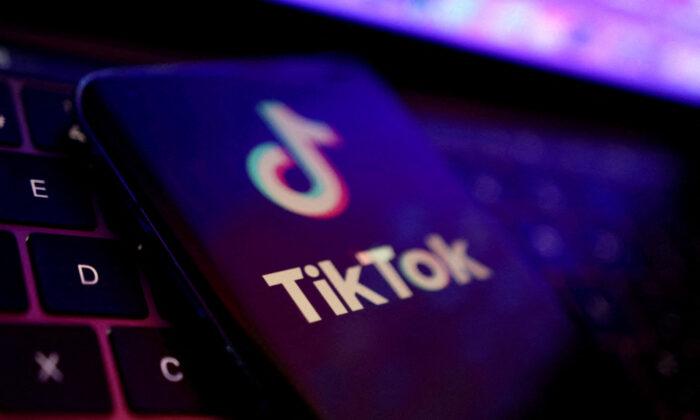 Czech Cyber Watchdog Warns Against Using TikTok