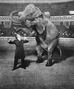 Harry Houdini amazed audiences by making an elephant disappear at the New York Hippodrome. (Public Domain)
