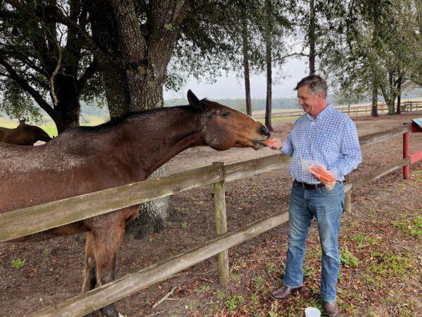 A visitor to the Retirement Home for Horses in Alachua, Fla., feeds carrots to a new friend on Feb. 11, 2023. (Nanette Holt/The Epoch Times)