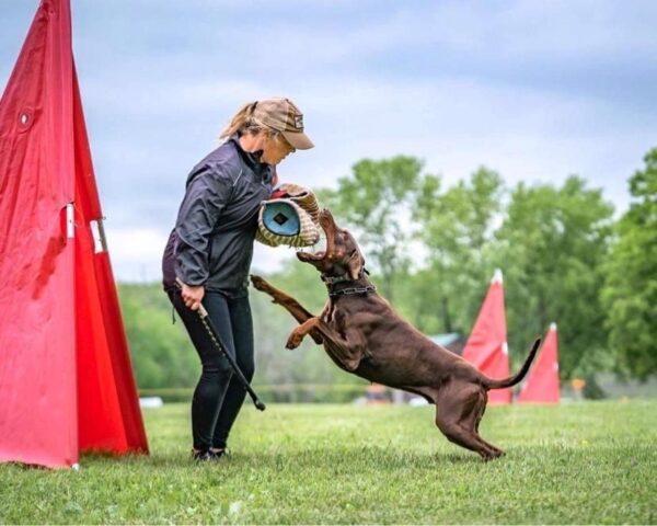 Dog breeder and trainer Katie Schwarzwaelder of Darlington Township, Pennsylvania, with one of her dogs during a competition. (Courtesy of Katie Schwarzwaelder)