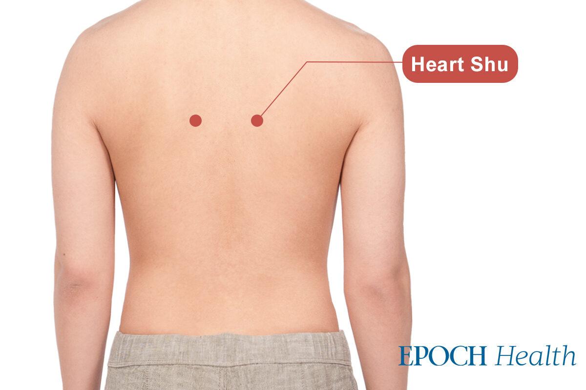 Heart Shu acupoint. (The Epoch Times)