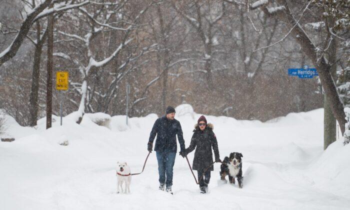 Between Four and 20 Centimetres of Snow Expected for Parts of Southern Ontario