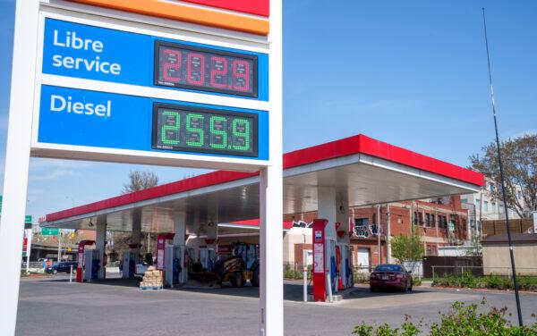 ‘Gas and Dash’: Fuel Thefts on the Rise in Some Provinces