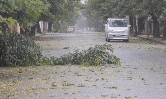Record-Strength Cyclone Freddy Displaces Hundreds in 2nd Mozambique Landfall