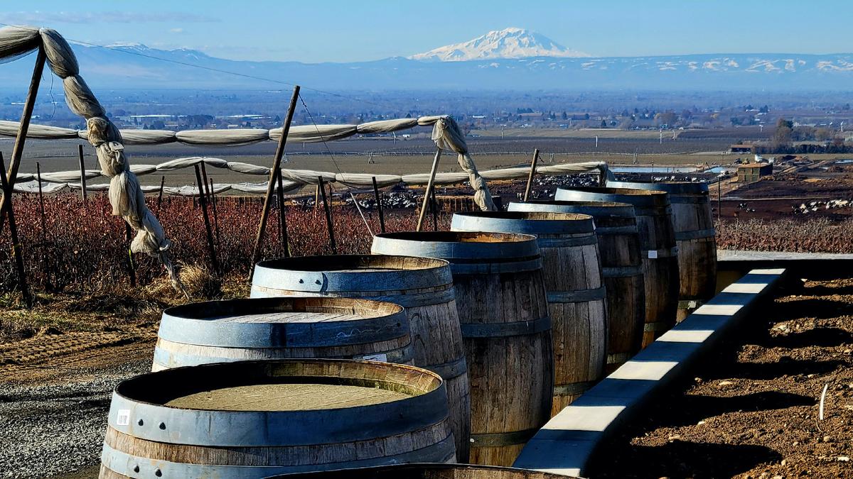The Yakima Valley, with Mount Rainier in the distance, is one of Washington state’s fastest-growing wine regions. (Photo courtesy of Jim Farber)