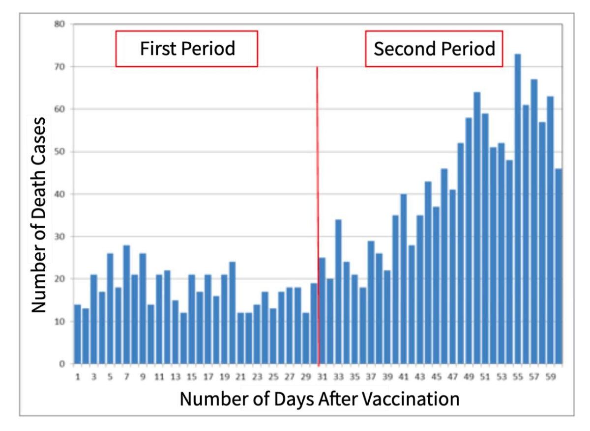 Diagram 1: Distribution of death cases according to the number of days post-second vaccination. English translation by The Epoch Times. (Israel Center for Disease Control and The Gertner Institute)