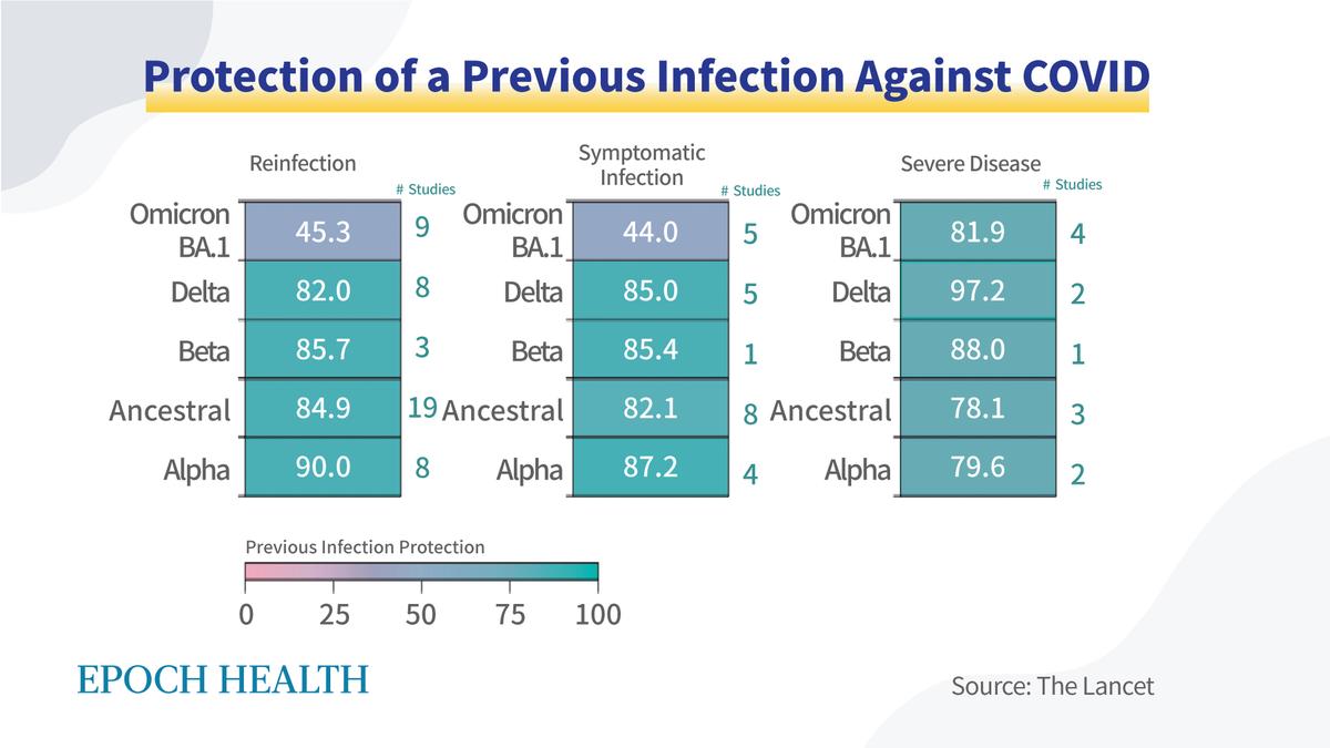 Figure 1. A compilation of over 50 studies shows how effective a previous infection is against COVID. (The Epoch Times)