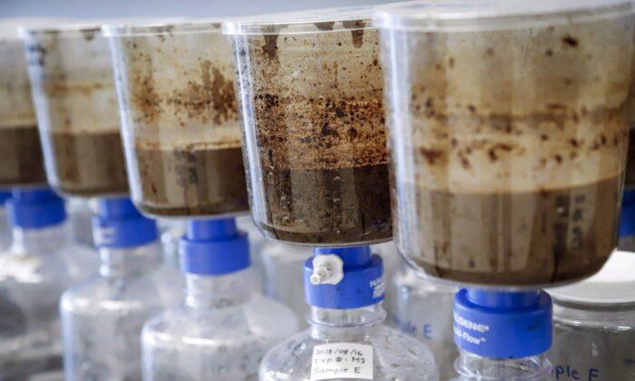 Alberta Regulator Confirms Potential Oilsands Toxins in Small Fish-Bearing Waterbody