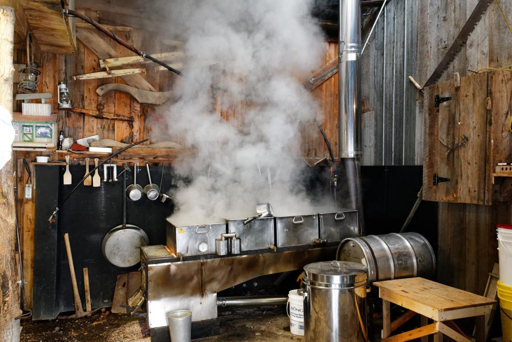 Heat and time concentrate the watery sap into sweet, thick maple syrup. (Colin Woods/Shutterstock)