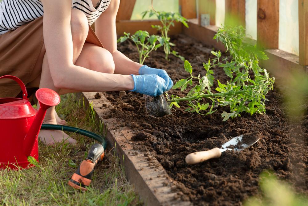 Gardener Becomes First Person to Beat Deadly Flesh-Eating Bacteria