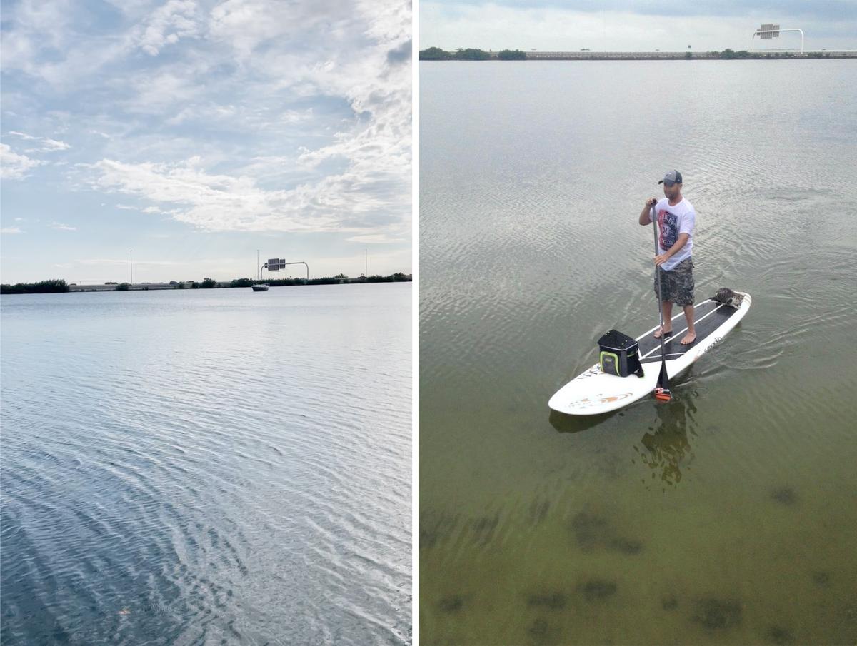 (Left) A view of the water near Lindsay Buchanan's home in Tampa Bay, Florida; (Right) Lindsay Buchanan's neighbor rescues the cat from the water. (Courtesy of Lindsay Buchanan and <a href="https://www.tiktok.com/@bubbsybabyboy">@bubbsybabyboy</a>)