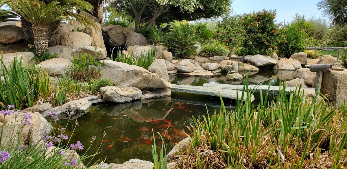 A tranquil koi pond is a central element of the home's extensive landscaping. (Courtesy of Crosby Doe)