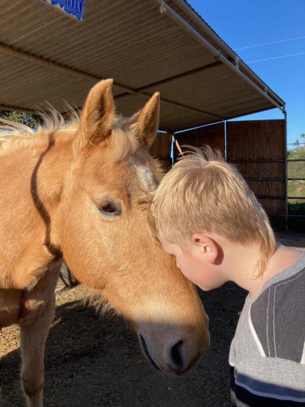 A student connecting with one of the Ride Above Disability Center’s horses. (Courtesy of the Office of San Diego County Supervisor Joel Anderson)