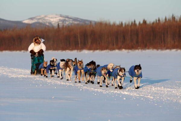 A musher and his team cross the Yukon River in Galena, Alaska, during the annual Iditarod dog<br/>sled race.