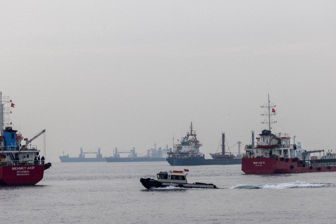 Russia Extends Grain Deal for 60 Days, Wants to See Progress on Concerns