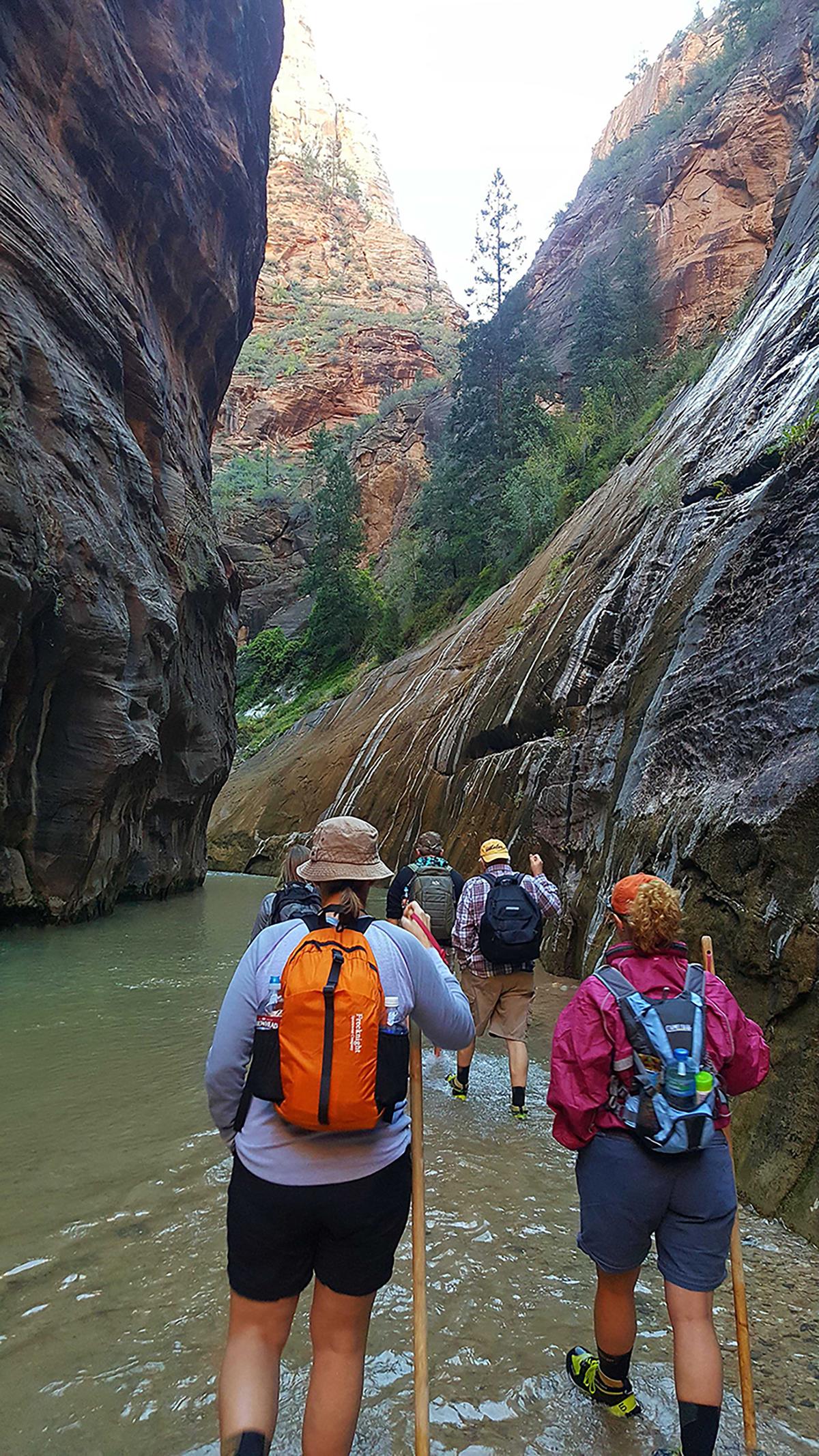 Singles Travel International offers trips within the States as well as overseas. This trip included the Grand Canyon, Bryce Canyon, Antelope Canyon, and several other stops, including walking the Virgin River at the Narrows in Zion National Park (seen here). (Nancy Clanton/The Atlanta Journal-Constitution/TNS)