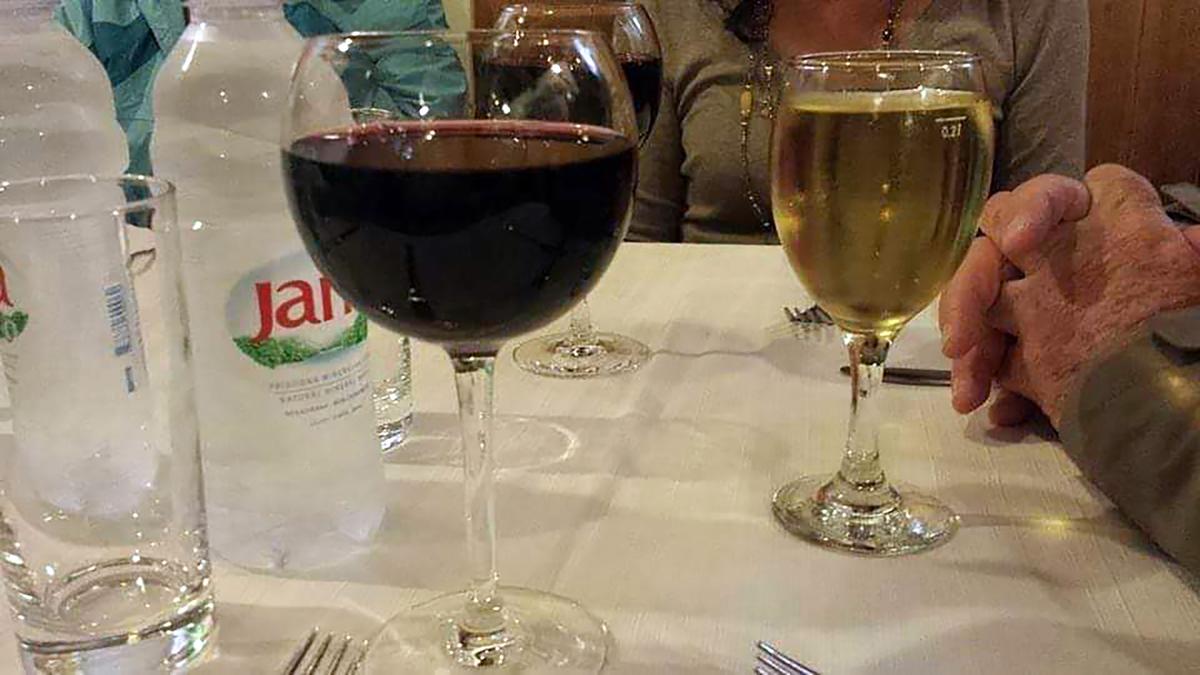 During a tour of Croatia—which began with a couple of days in Venice, Italy—we learned teran (pronounced like tehran) is red wine, or this red wine. Malvasia is always a white wine. This trip was booked through Best Single Travel. (Nancy Clanton/The Atlanta Journal-Constitution/TNS)