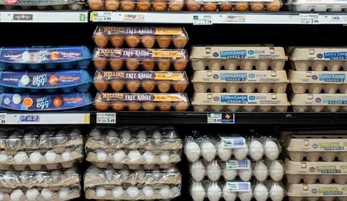 Online Grocery Prices up 10.3 Percent in March as Inflation Continues to Bite