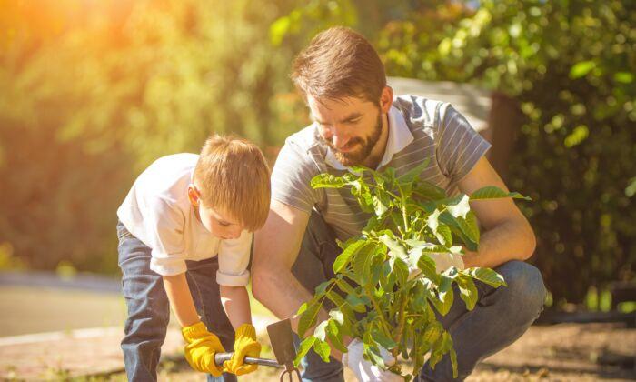 Useful Tips That Make Gardening More Enjoyable