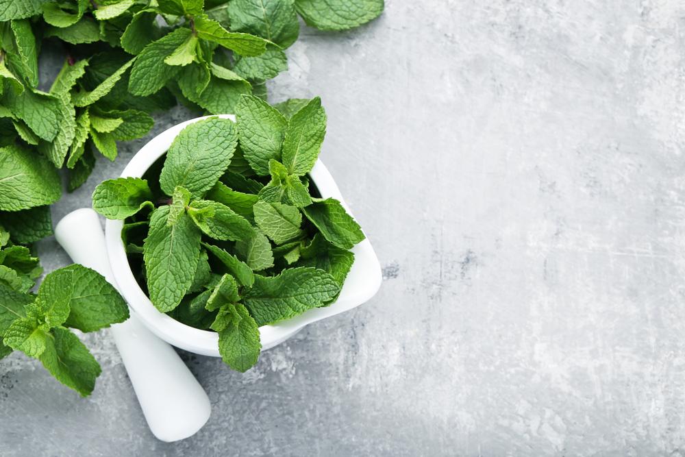 Mint, a prolific and easy-to-grow plant, has long been used to ease indigestion and other stomach issues. (nada54/Shutterstock)