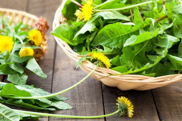 The entire dandelion plant is edible, from the root to the flower, and can be used in anything from salad to tea. (nada54/Shutterstock)