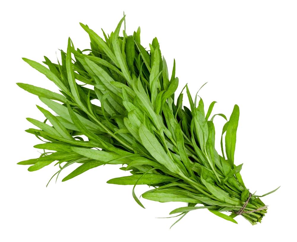 Tarragon is traditionally used to soothe digestion. (SaGa Studio/Shutterstock)