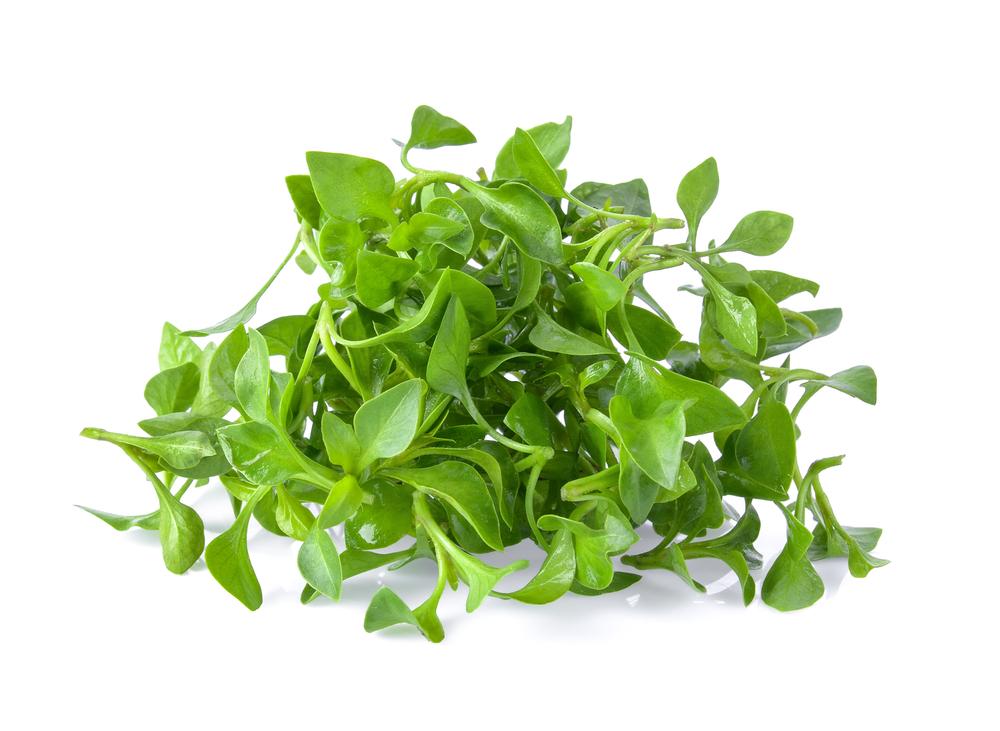 Rich in vitamin C, watercress is an excellent addition to salads and sandwiches thanks to its peppery bite. (SOMMAI/Shutterstock)