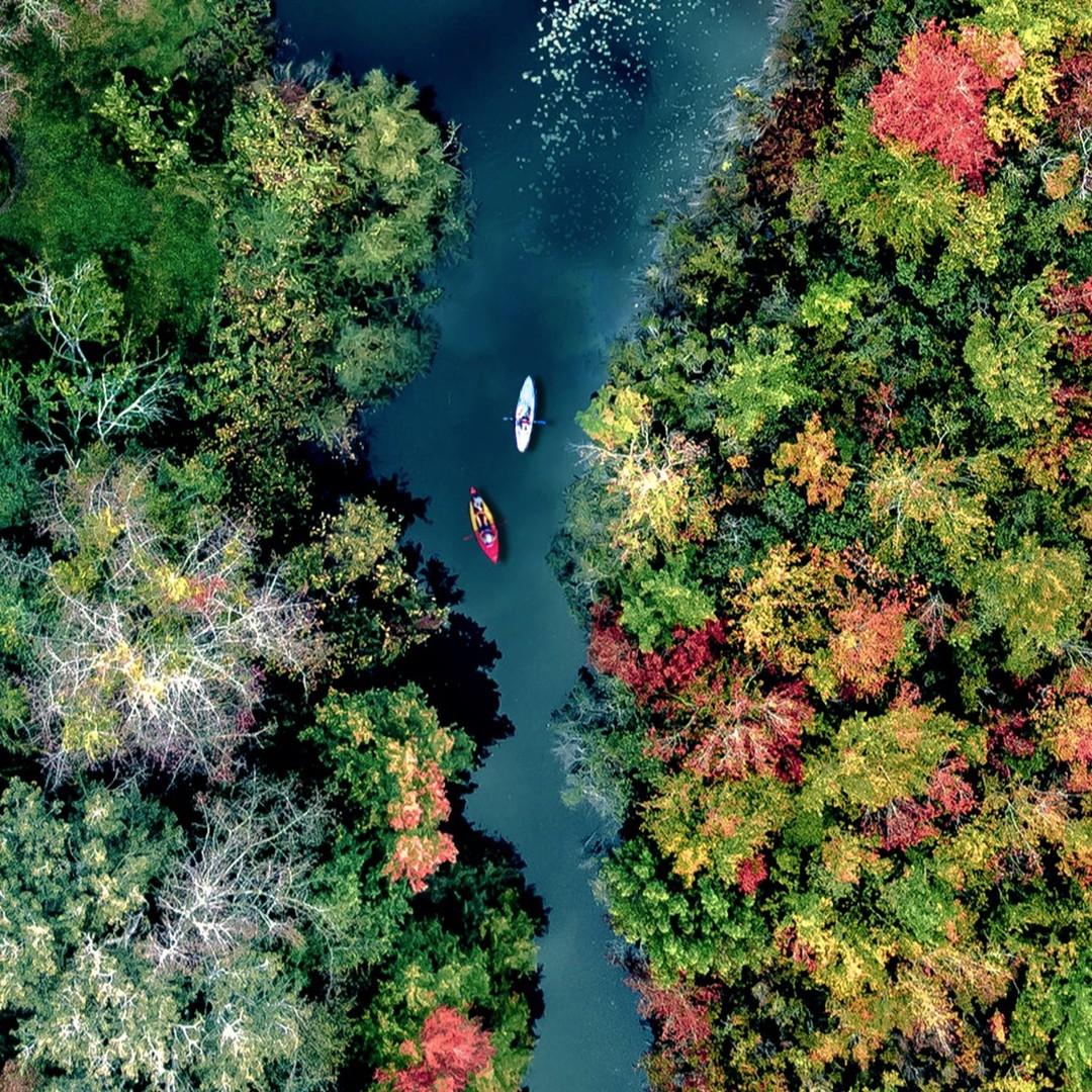 A top-down shot of foliage taken in the Hamptons, New York. (Courtesy of <a href="https://www.instagram.com/hamptonsdroneart/">Joanna L Steidle</a>)