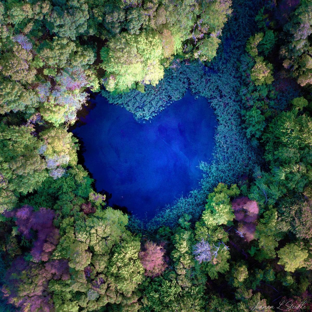 A heart-shaped pond in Morton Wildlife Refuge in Southampton. (Courtesy of <a href="https://www.instagram.com/hamptonsdroneart/">Joanna L Steidle</a>)