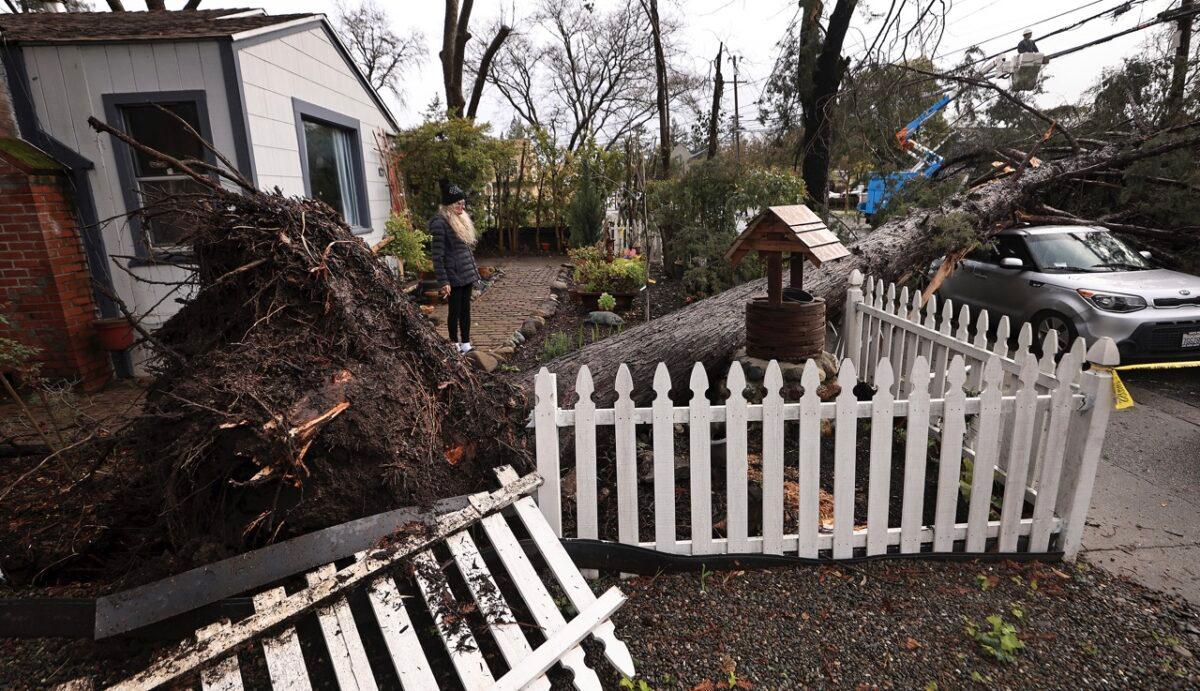 Helena Zappelli surveys the damage to her yard and vehicle after a large tree fell over during another storm to wallop the state on Humboldt Street in Santa Rosa, Calif., on March 21, 2023. (Kent Porter/The Press Democrat via AP)
