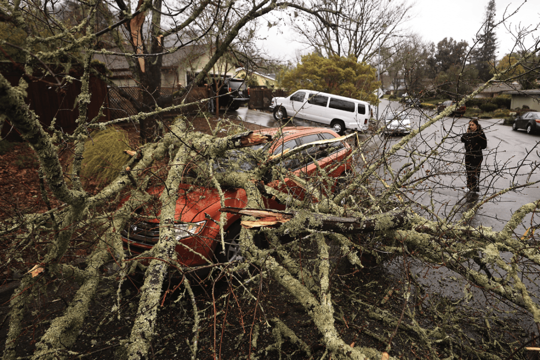 California Residents Face Tragedy and Power Outages in Wake of Brutal Bomb Cyclone