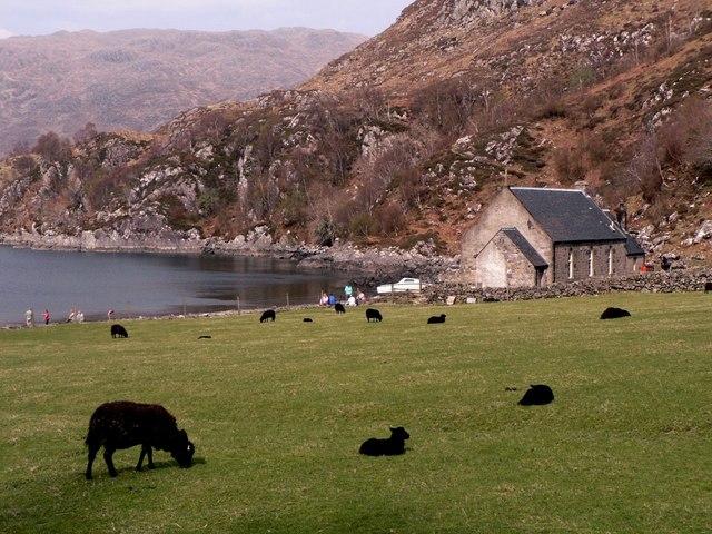 Sheep are seen grazing at the estate center of operations, located at Tarbet Bay, Scotland. (<a href="https://en.wikipedia.org/wiki/Tarbet,_Loch_Nevis#/media/File:Tarbet,_Loch_Nevis_-_geograph.org.uk_-_1117936.jpg">AlastairG</a>/CC BY-SA 2.0
