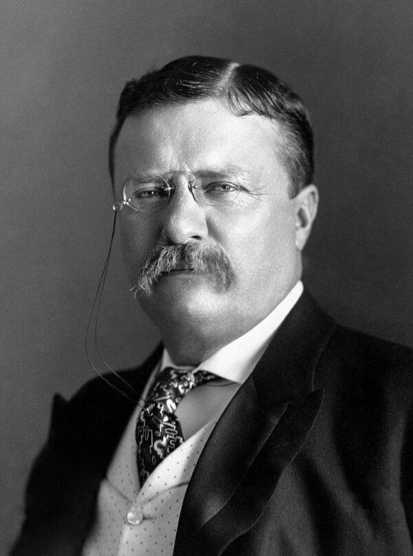 Portrait of Theodore Roosevelt in 1903. (Public Domain)