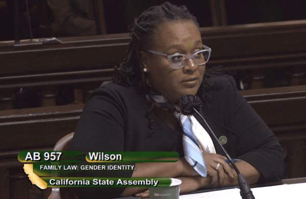 California State Assemblywoman Lori Wilson speaks to the state Assembly Judiciary Committee in Sacramento, Calif., on March 21, 2023. (California State Assembly/Screenshot via The Epoch Times)