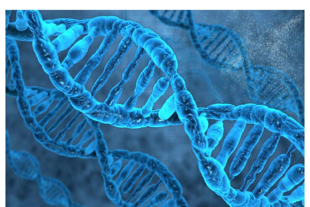 Remarkable Effects of Meditation on Chronic Diseases: Studies