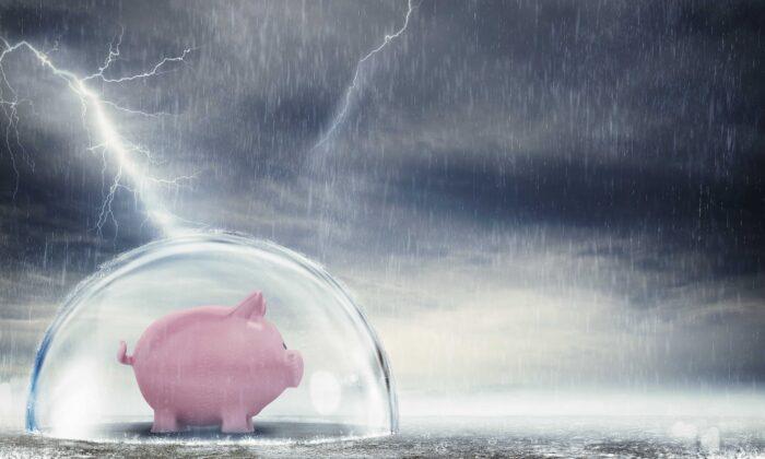 How to Shelter in the Financial Storm