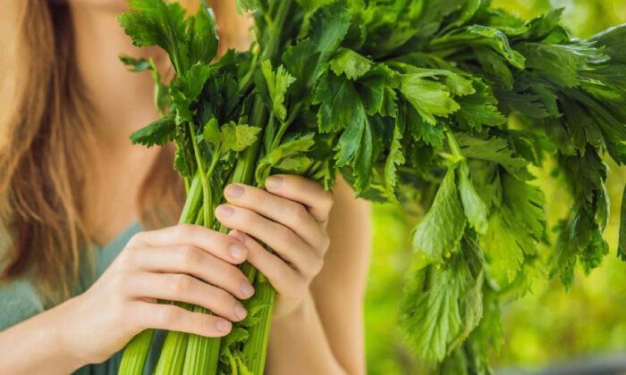 6 Major Health Benefits of Celery, 4 Types of People Should Avoid It