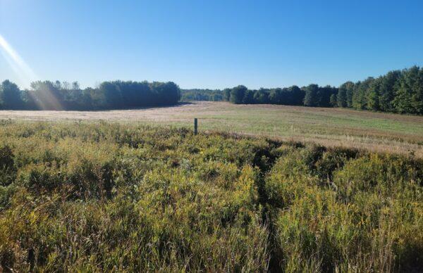 A view of the nearly 700-acre site for a proposed Chinese Electric Vehicle battery plant in rural Michigan. (Courtesy of Jim Chapman)
