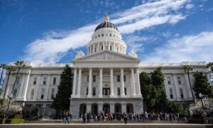 California Mulls New Tax on Guns, Ammunition
