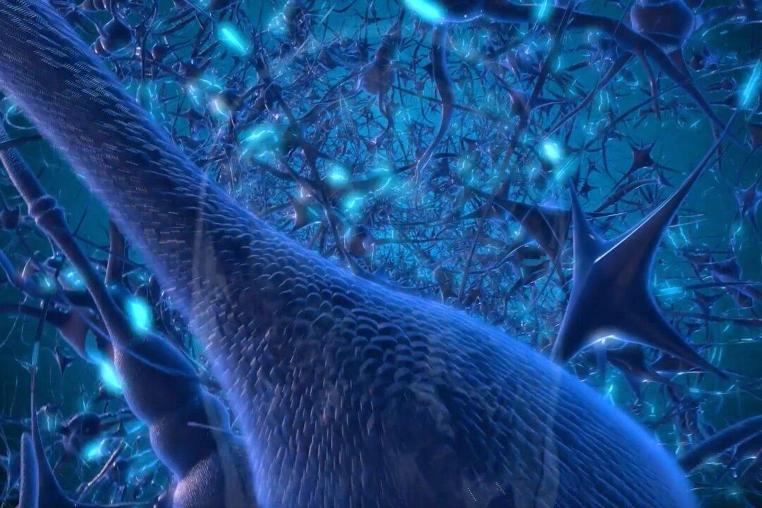 Improve Your Brain Health: Advanced Technology Offers Hope and Healing