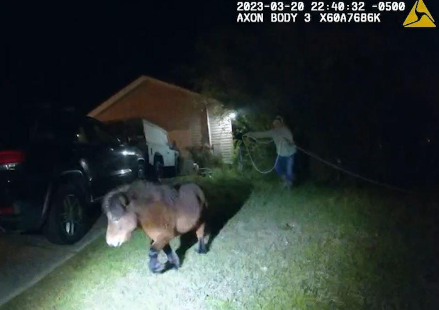 Bodycam footage shows TPD officers giving chase as a stray horse flees through Alberta neighborhood in Tuscaloosa on March 20. (Courtesy of Tuscaloosa Police Department)