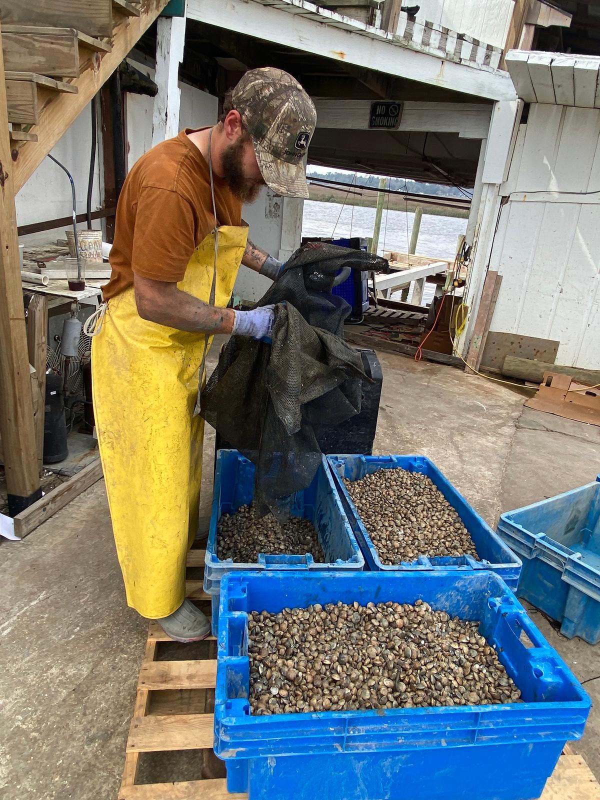 Fishing operations like Sapelo Sea Farms, which grows clams and harvests wild oysters in nearby waters, operates along the docks of the Sapelo River in Townsend, 14 miles north of Darien, Georgia. (Ligaya Figueras/The Atlanta Journal-Constitution/TNS)
