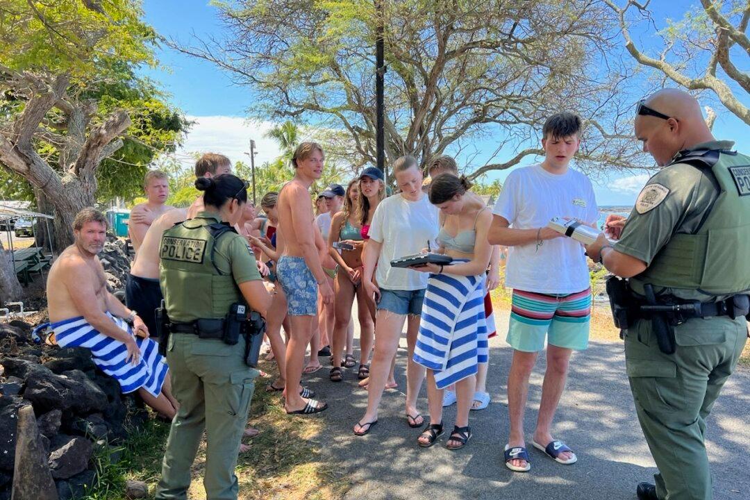 Hawaii Authorities Say 33 Swimmers Were Harassing Dolphins