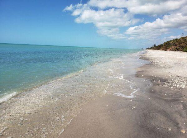 The beaches of Manasota Key on the Gulf of Mexico. (John Steffian)
