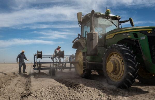 Farmers in Los Banos, Calif., plant seeds on Oct. 20, 2022. (John Fredricks/The Epoch Times)
