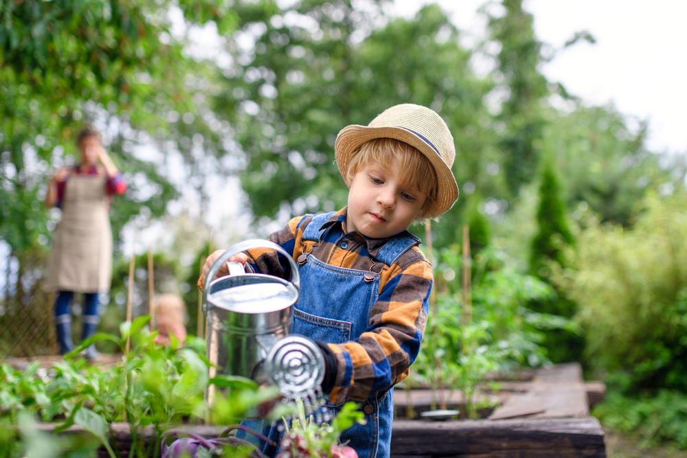 The water bill can be lowered by spot-watering with a watering can rather than a sprinker, and using raised beds where the soil stays wet longer. (Ground Picture/Shutterstock)