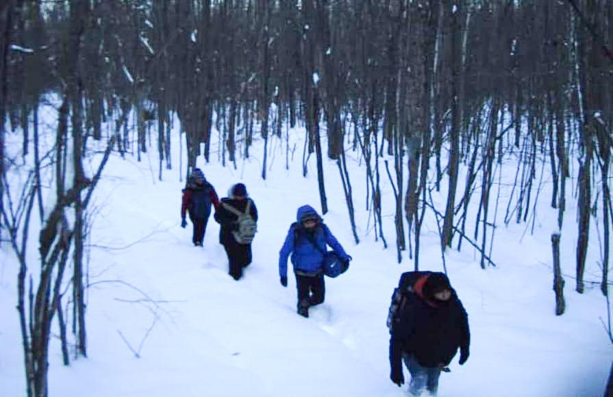 Illegal immigrants are caught walking through the snow in the Swanton Sector in this recent U.S. Border Patrol photograph. (U.S. Border Patrol photo)