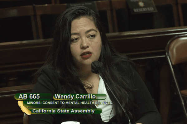  California Assemblywoman Wendy Carrillo, D-Los Angeles, speaks at a hearing of the Assembly Judiciary Committee in Sacramento, Calif., on March 28, 2023. (Screenshot via California State Assembly)