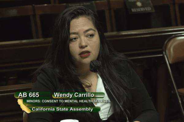 California Assemblywoman Wendy Carrillo, D-Los Angeles, speaks at a hearing of the Assembly Judiciary Committee in Sacramento, Calif., on March 28, 2023. (Screenshot via California State Assembly)